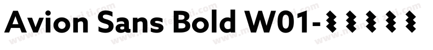 Avion Sans Bold W01字体转换